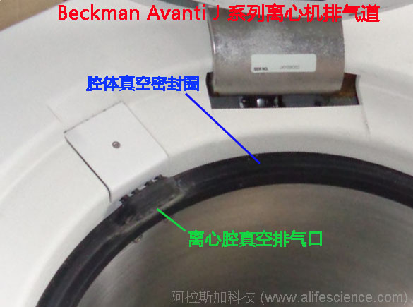 Avanti J離心機真空排氣口