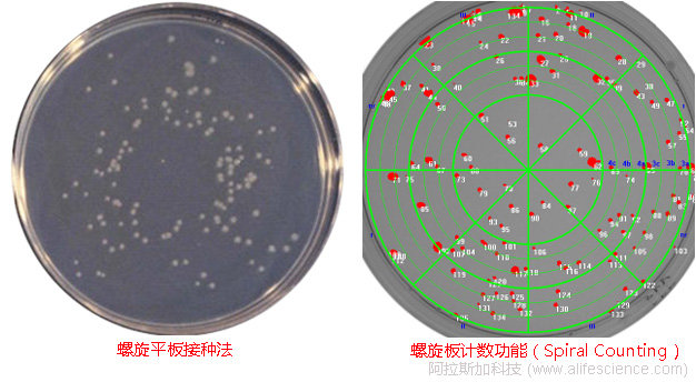 凝膠成像分析系統(tǒng)螺旋平板菌落計(jì)數(shù)計(jì)數(shù)功能.jpg