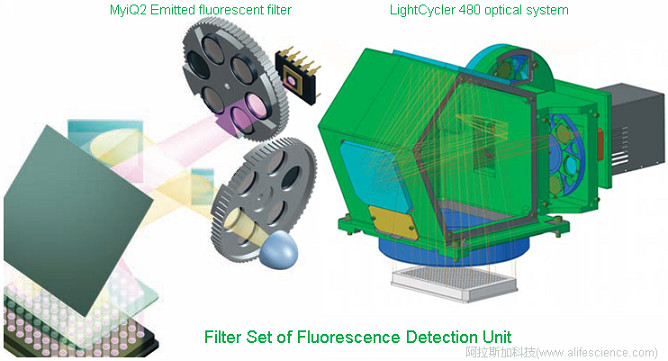 實時熒光定量PCR儀熒光檢測單元光路結(jié)構(gòu).jpg
