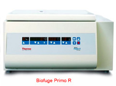 Biofuge Primo R臺(tái)式多功能低溫高速離心機(jī).jpg