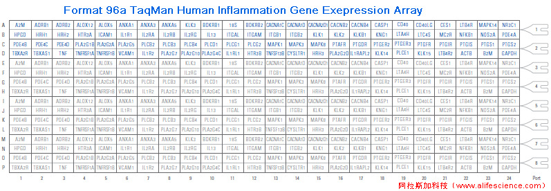 QuantStudio 6 Pro實時熒光定量PCR儀Format 96A 炎癥基因表達TAC.jpg