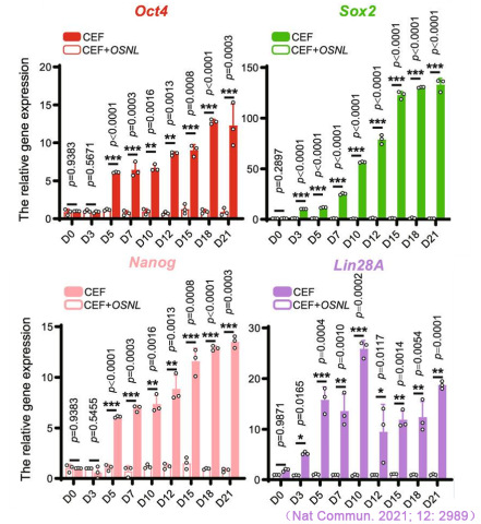 CFX Connect實時熒光定量PCR儀對iPS多能性標記基因Oct4、Sox2、Nanog和Lin28A表達的檢測.jpg