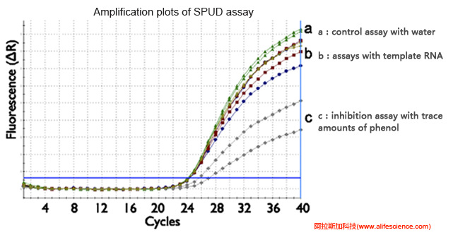 蜂蜜瀏覽器_實(shí)時(shí)熒光定量PCR反應(yīng)抑制劑測(cè)試.jpg