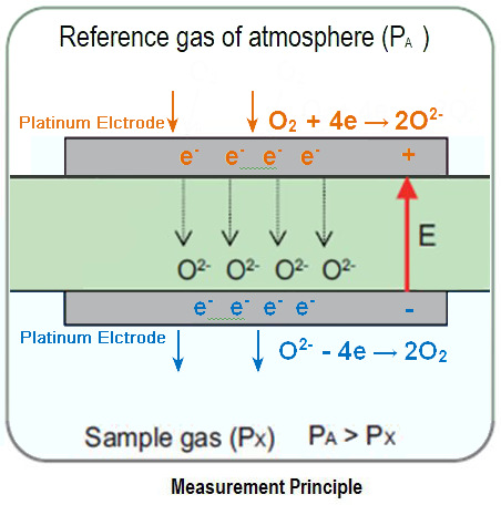 TSE PhenoMaster NG、Columbus CLAMS動物代謝分析系統(tǒng)氣體O2含量監(jiān)測的氧化鋯氧傳感器工作原理.jpg