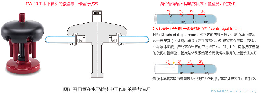 Beckman Optima XPN-100超速離心機(jī)開(kāi)口管在SE40 Ti水平轉(zhuǎn)頭中工作時(shí)的受力情況.jpg