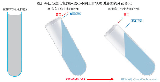 Optima XE-90超速離心機(jī)type 70 Ti角轉(zhuǎn)頭適配38.5mL薄壁開(kāi)口管344367工作示意圖.jpg