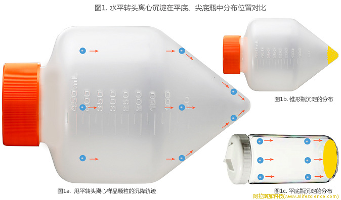 圖1. 水平轉(zhuǎn)頭離心沉淀在平底、尖底瓶中分布位置對(duì)比.jpg