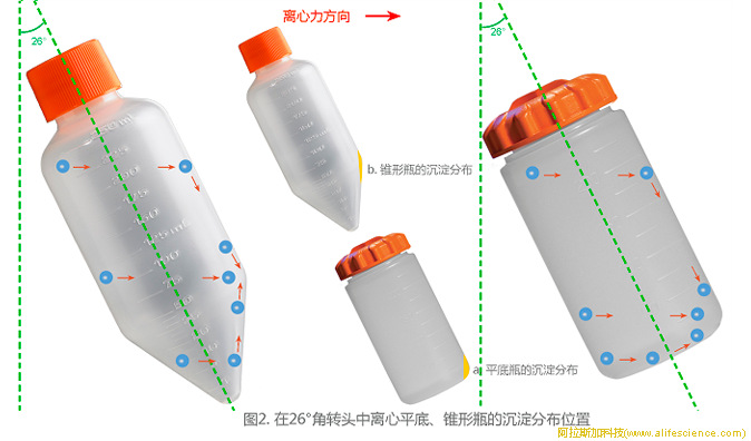 圖2.角轉(zhuǎn)頭中離心平底、錐形瓶的沉淀分布位置.jpg