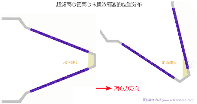 超濾離心管在不同轉頭中離心后濃縮液體積差異產生原理圖.jpg